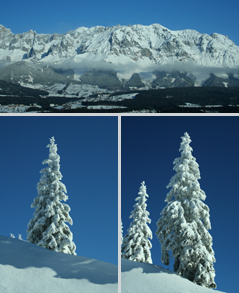 Dachstein & Winterviews